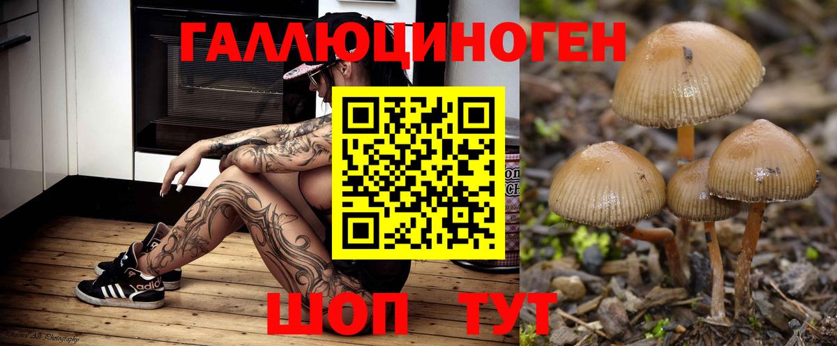 Псилоцибиновые грибы мухоморы Саянск